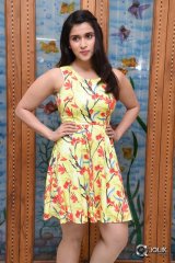 Mannara Chopra Interview About Jakkanna Movie